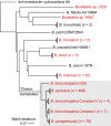 FIG 1