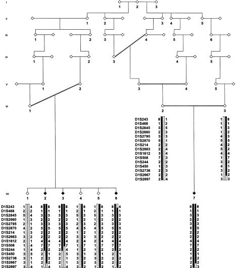 Figure  1