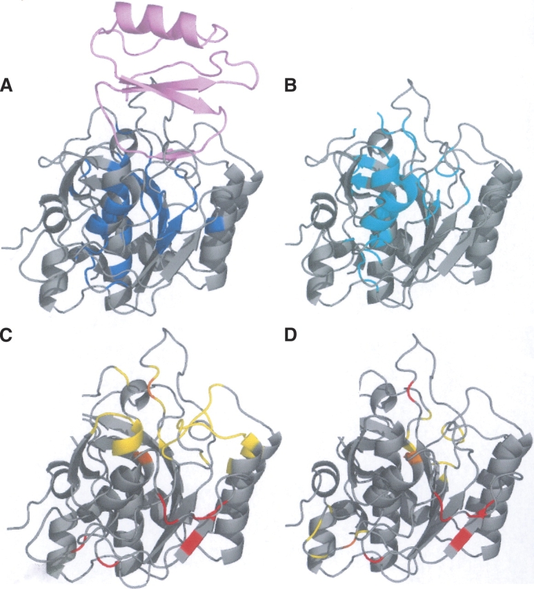 Figure 4.