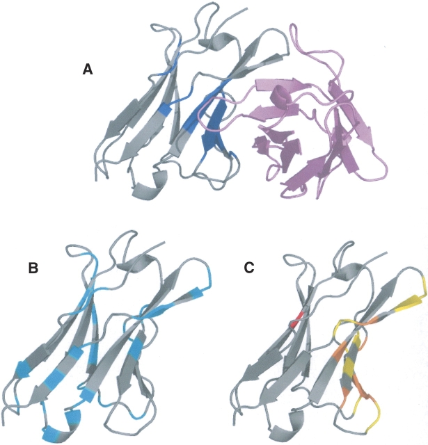 Figure 5.