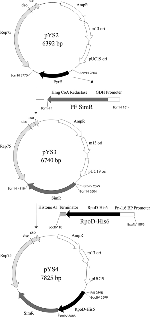 FIG. 1.