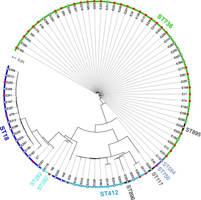 FIG 1