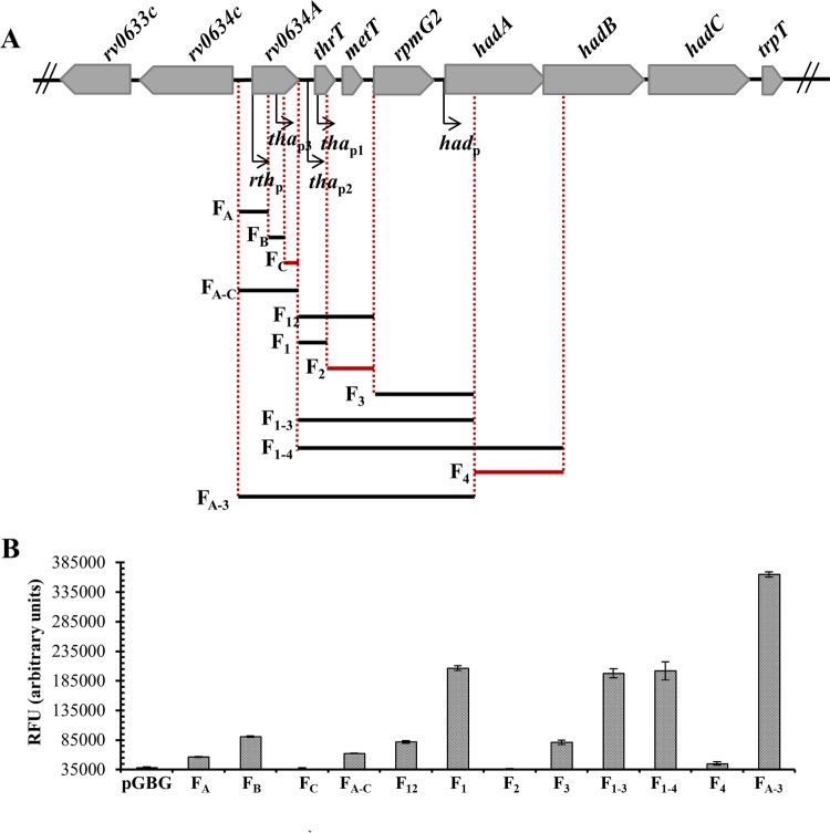 FIG 4