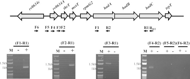 FIG 2