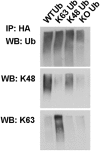 Fig. S2.