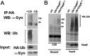 Fig. S6.