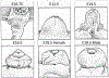 Figure 3 -