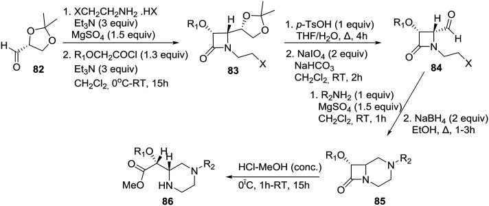 Scheme 13