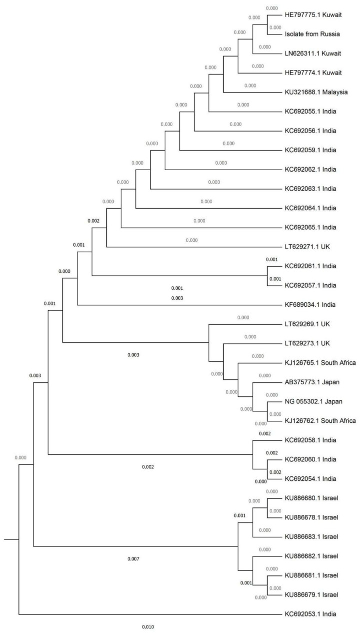 Figure 2