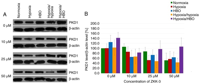 Figure 11.