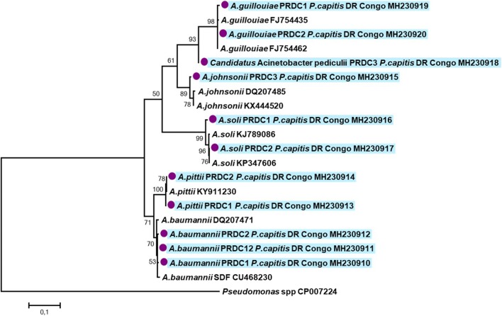 Fig. 3