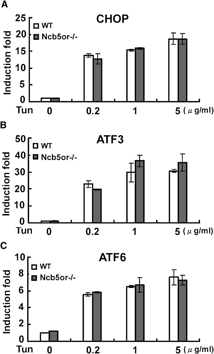 Fig. 6.