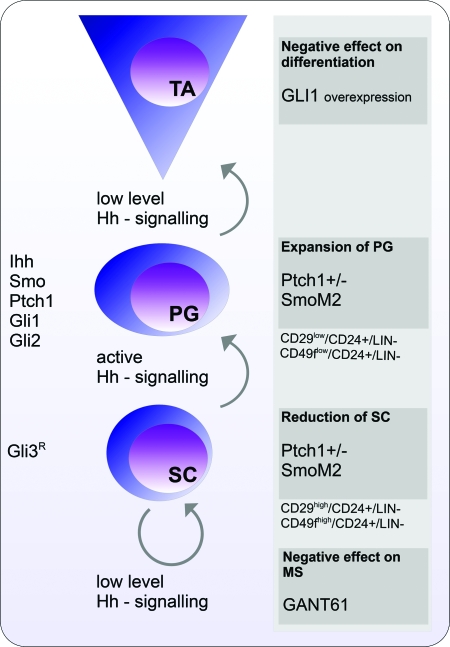 Fig. 3.