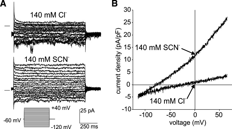 Fig. 8.