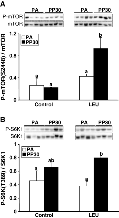 Fig. 7