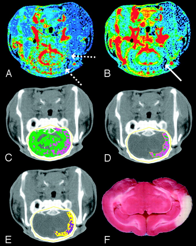 Fig 6.