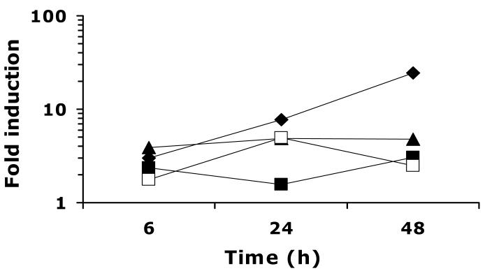 Fig.4