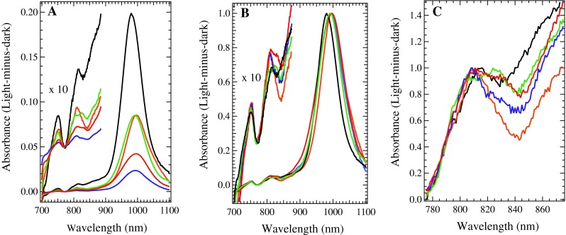 Fig. 4