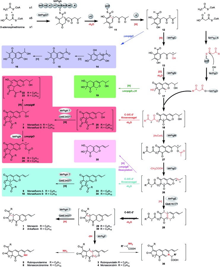 Scheme 2