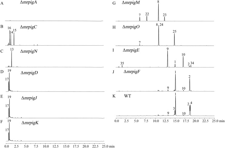 Fig. 2