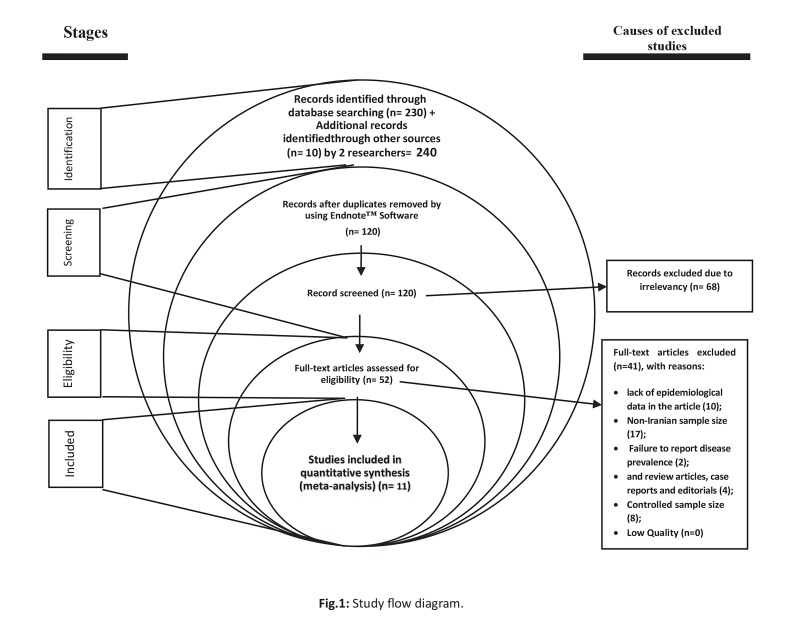 Fig.1