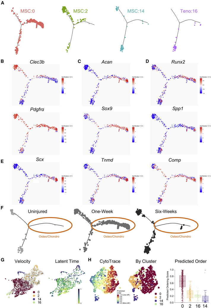 Figure 2