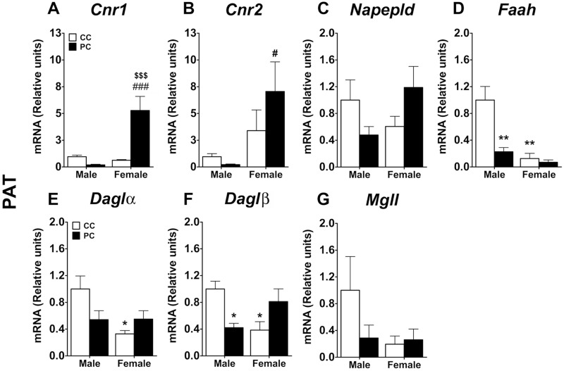 Fig 8