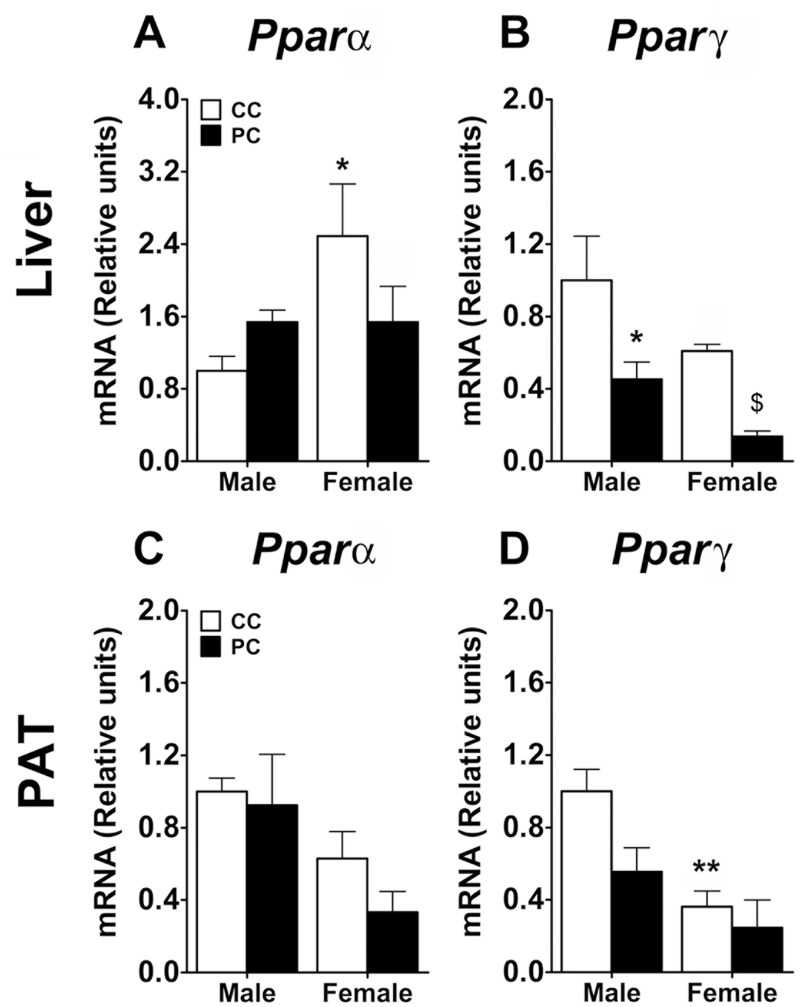 Fig 10