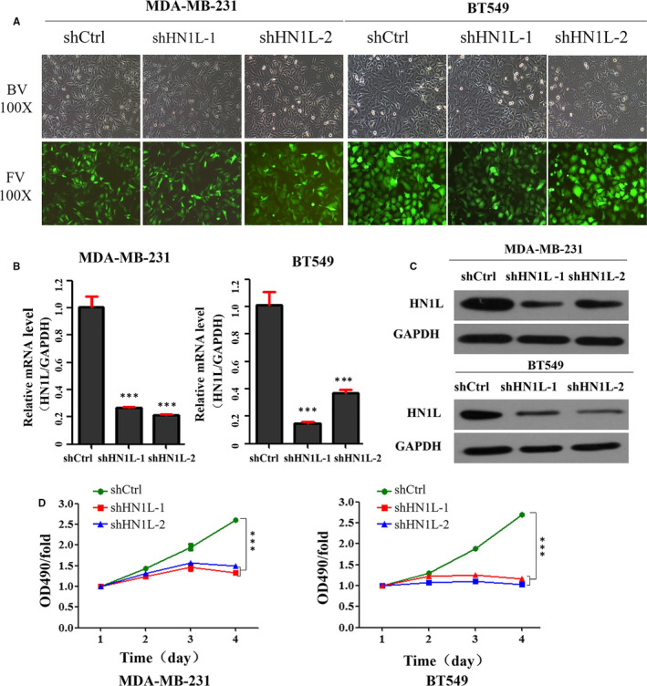 FIGURE 2