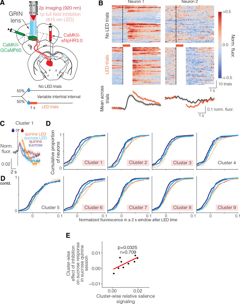 Figure 7: