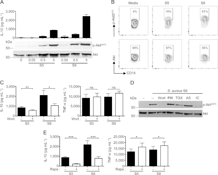 FIG 3