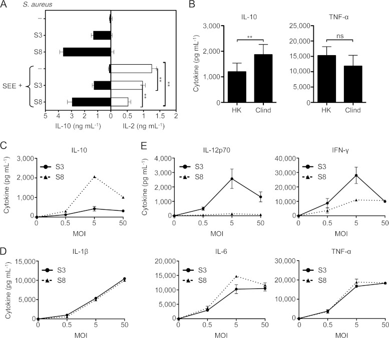 FIG 6