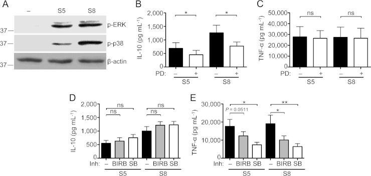 FIG 4