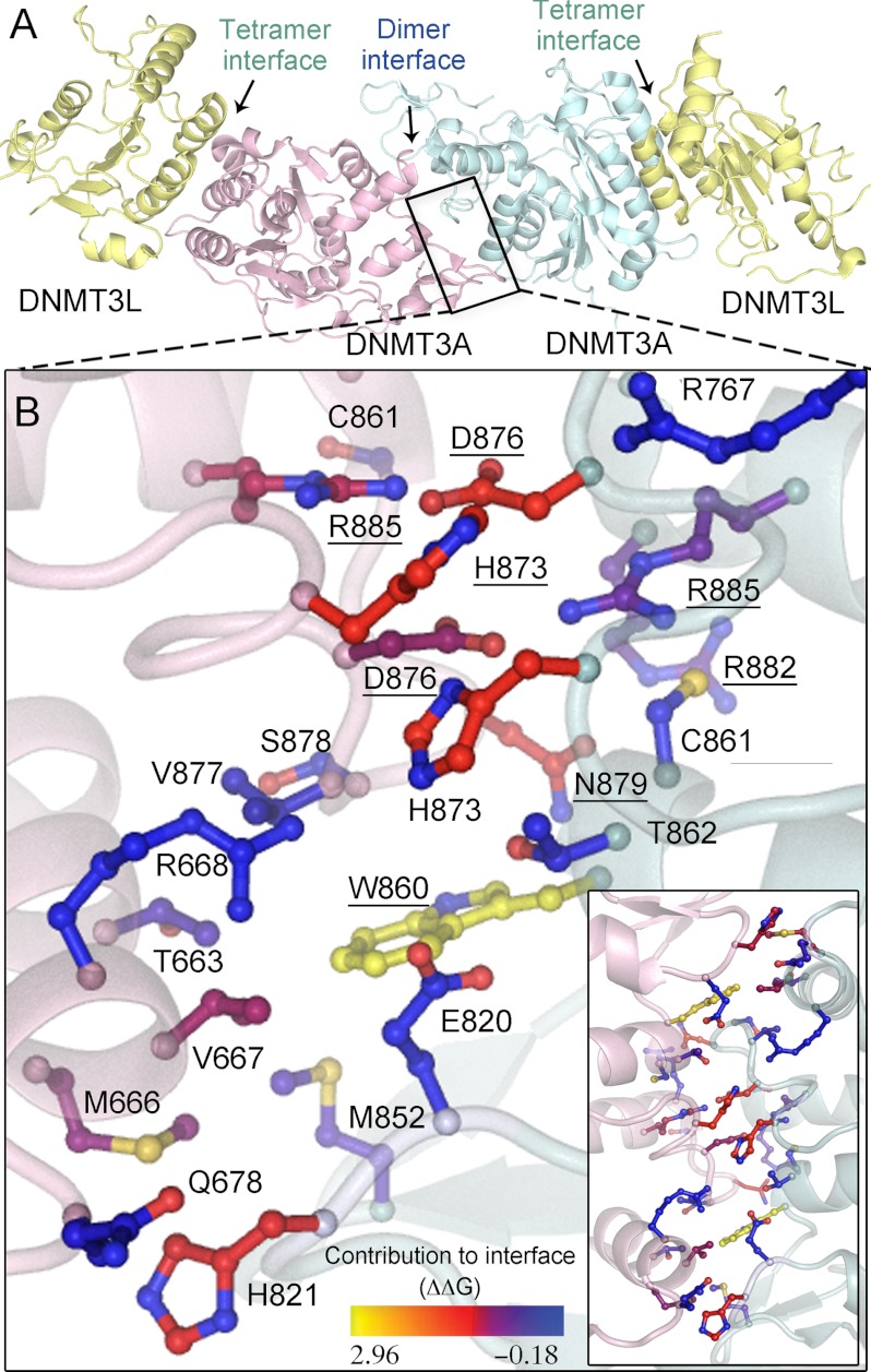 FIGURE 1.