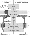 Fig. 1.