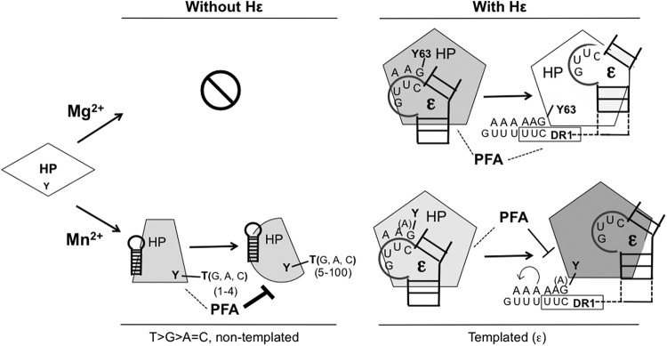 Fig 9