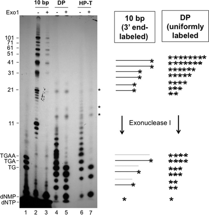 Fig 5