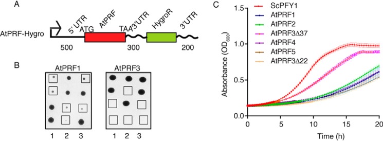 Figure 2.