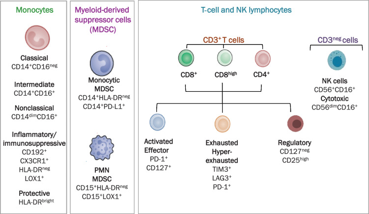 Figure 1. High-dimensional flow cytometry analysis. Scheme of immune subpopulation analyzed in patients with lung cancer and controls.