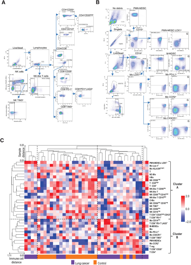 Figure 2. The comprehensive peripheral immune cell profile of patients with screening-detected lung cancer and controls. Gating strategies of lymphoid populations (A) and myeloid populations (B). Plots marked with “G” are shown to indicate the setting of the gate. C, Unsupervised clustering considering all 32 subpopulation analyzed in the training set. Dashed lines separate the 4 and the 2 clusters of samples and immune cells at the larger distance (1-correlation), respectively.