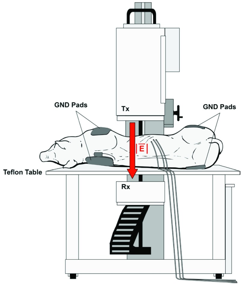 Figure 1.