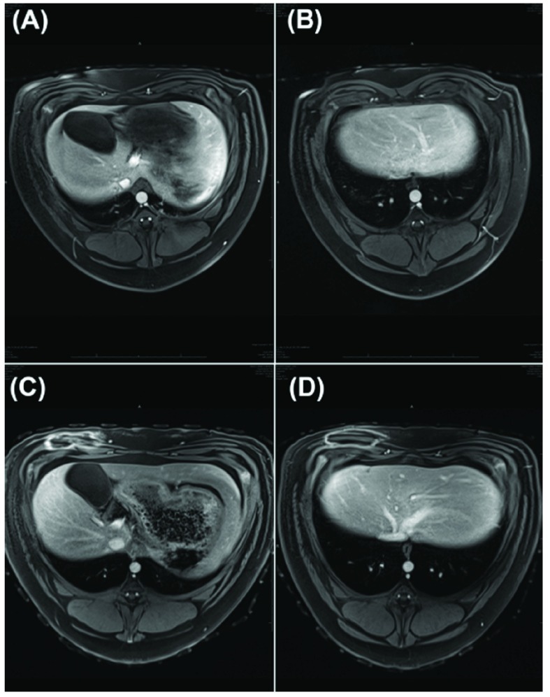 Figure 4.