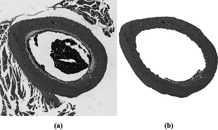 Fig. 8