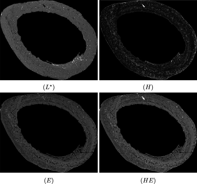 Fig. 10