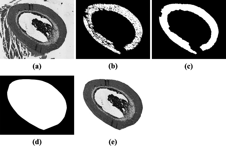 Fig. 5