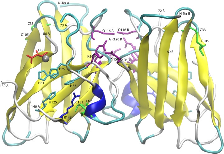 FIG 2