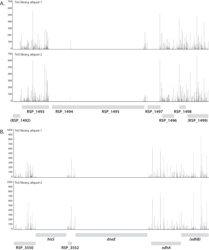 FIG 2 