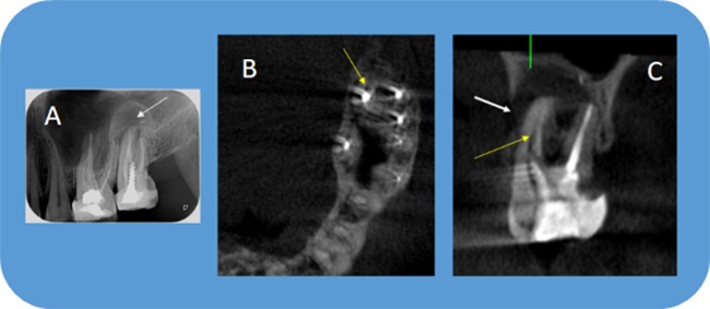 Figure 20.