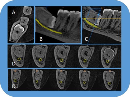 Figure 12.