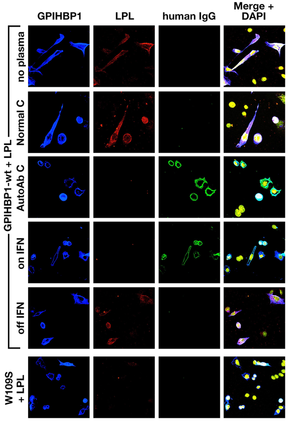 Figure 6.